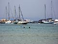 2006-07 WE Pereira Porquerolles 0018